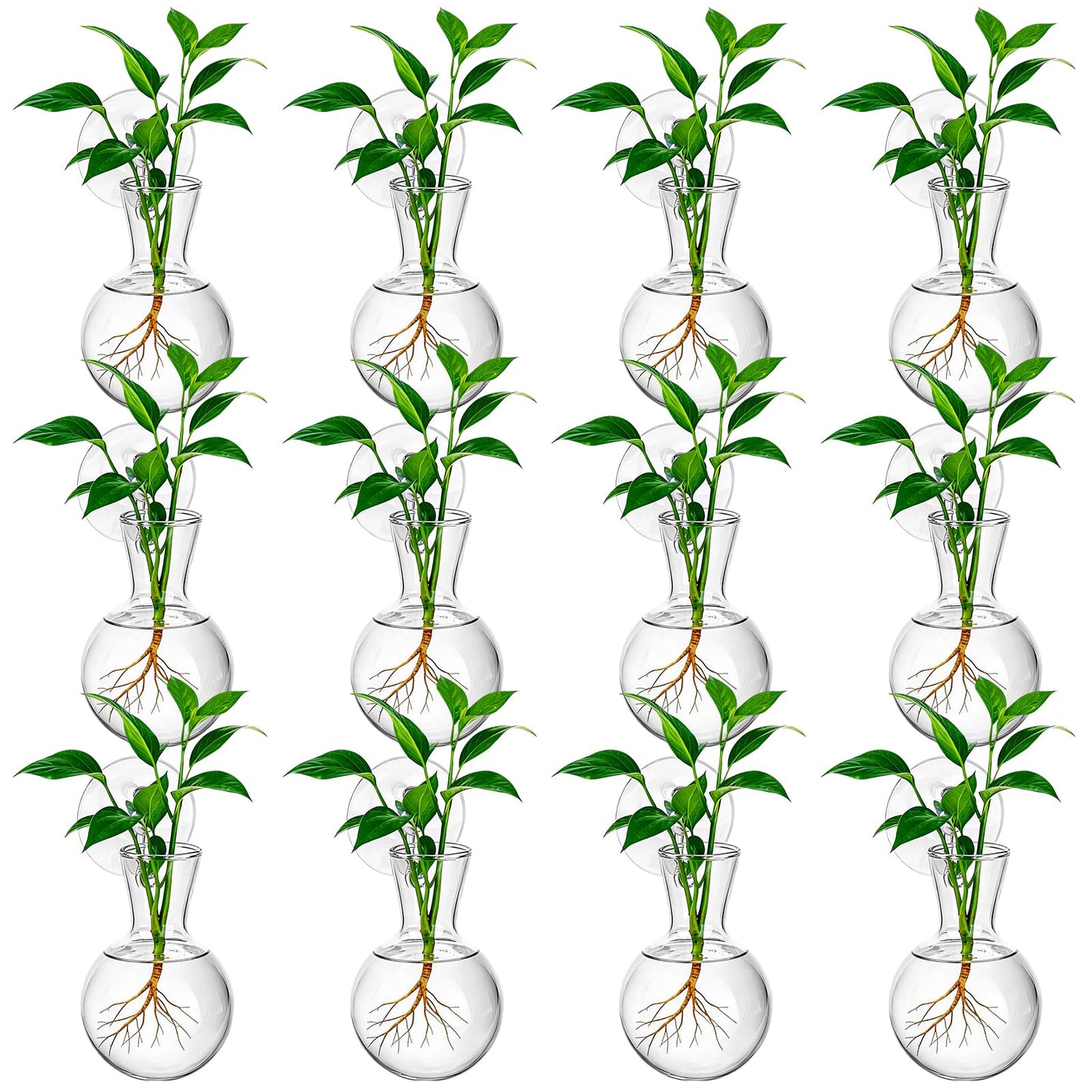 HCEWSBFD 12Pcs Window Propagation Stations Bulb Glass Vases with Suckion Cups Hooks Hydroponics Plant Propagation Vases No Nails Wall Hanging Planter for Water Plant Propagation Rooting Cuttings