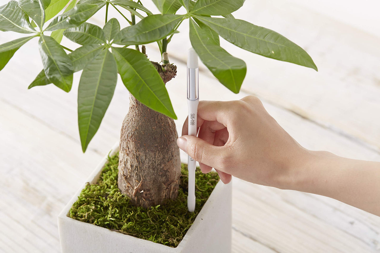 Sustee Aquameter Medium (Green Refillable) - Plant Soil Moisture Sensor - Best for Potted Plants - Probe, Meter, Indicator