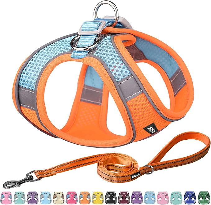 AIITLE Easy Walk Dog Harness and Leash Set - Pet Supply No Pull, Step in Adjustable Dog Harness with Padded Vest, Dog Harness No Choke Over, Easy to Put on Medium Dogs Orange L
