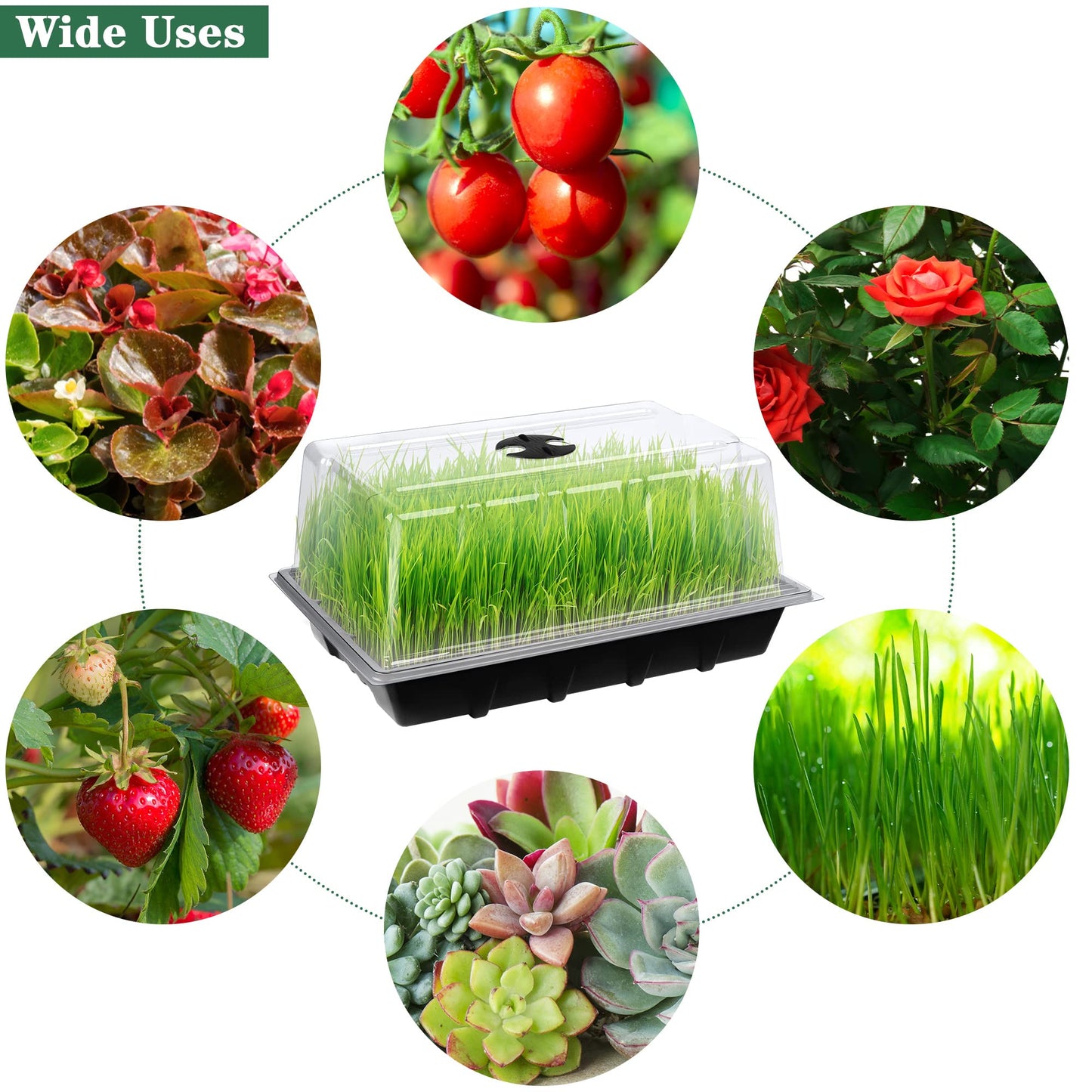 Hahood 6 Packs Seed Starter Tray Kits with Humidity Dome, Plastic Germination Growing Trays with Plants Labels, Planting Tools for Seeds Growing Starting, Germination and Seedling Propagation