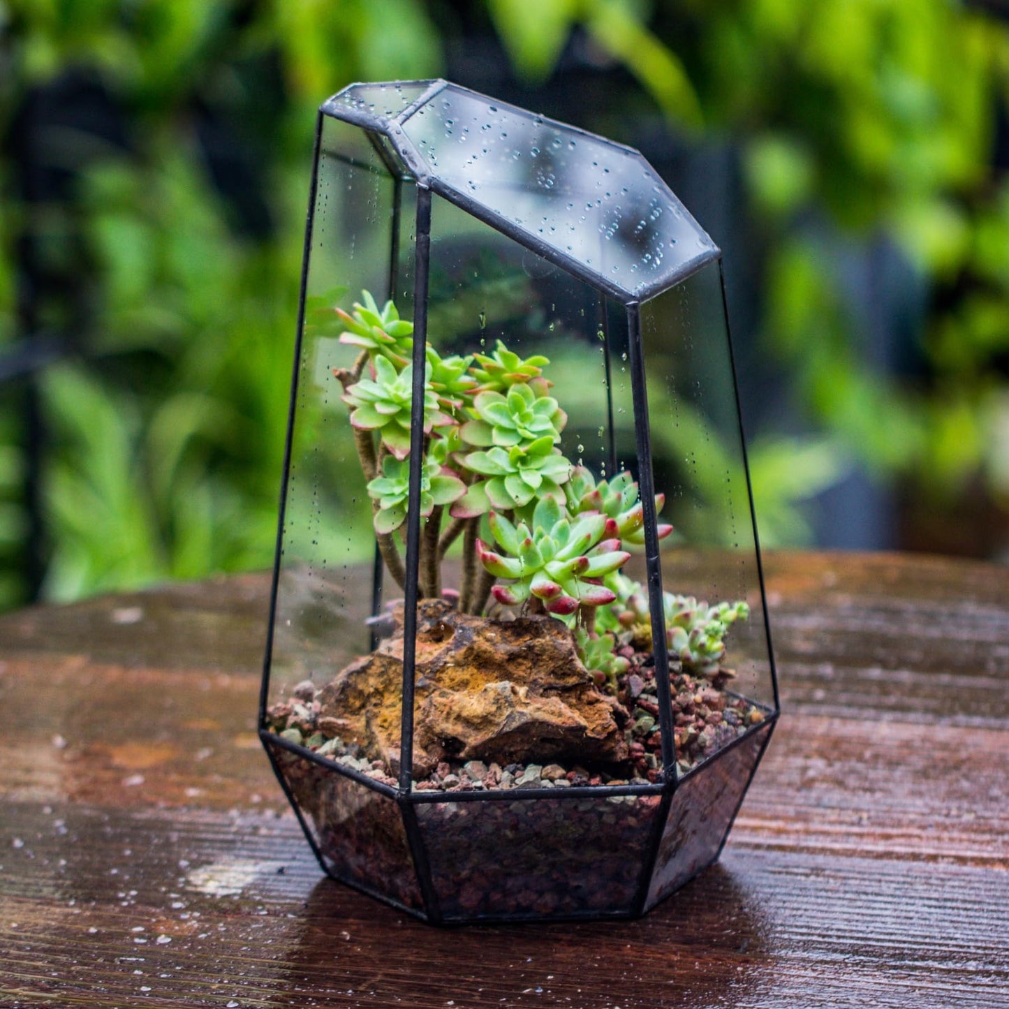NCYP No Door Geometric Glass Terrarium Planter for Small Succulent, Small Cacti, Black Irregular Opened Terrarium Pot, Indoor Home Garden Office Tabletop Decor, 6.5" x 5.7" x 9.8" (No Plants)