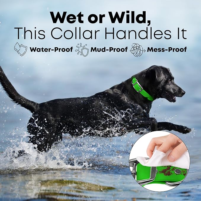 Regal Dog Products Medium Light Green Waterproof Dog Collar and Leash Set | Heavy Duty Double Buckle & D Ring - 5'ft Leash | Adjustable Biothane Dog Collar | Chew Resistant Waterproof Collar for Dogs