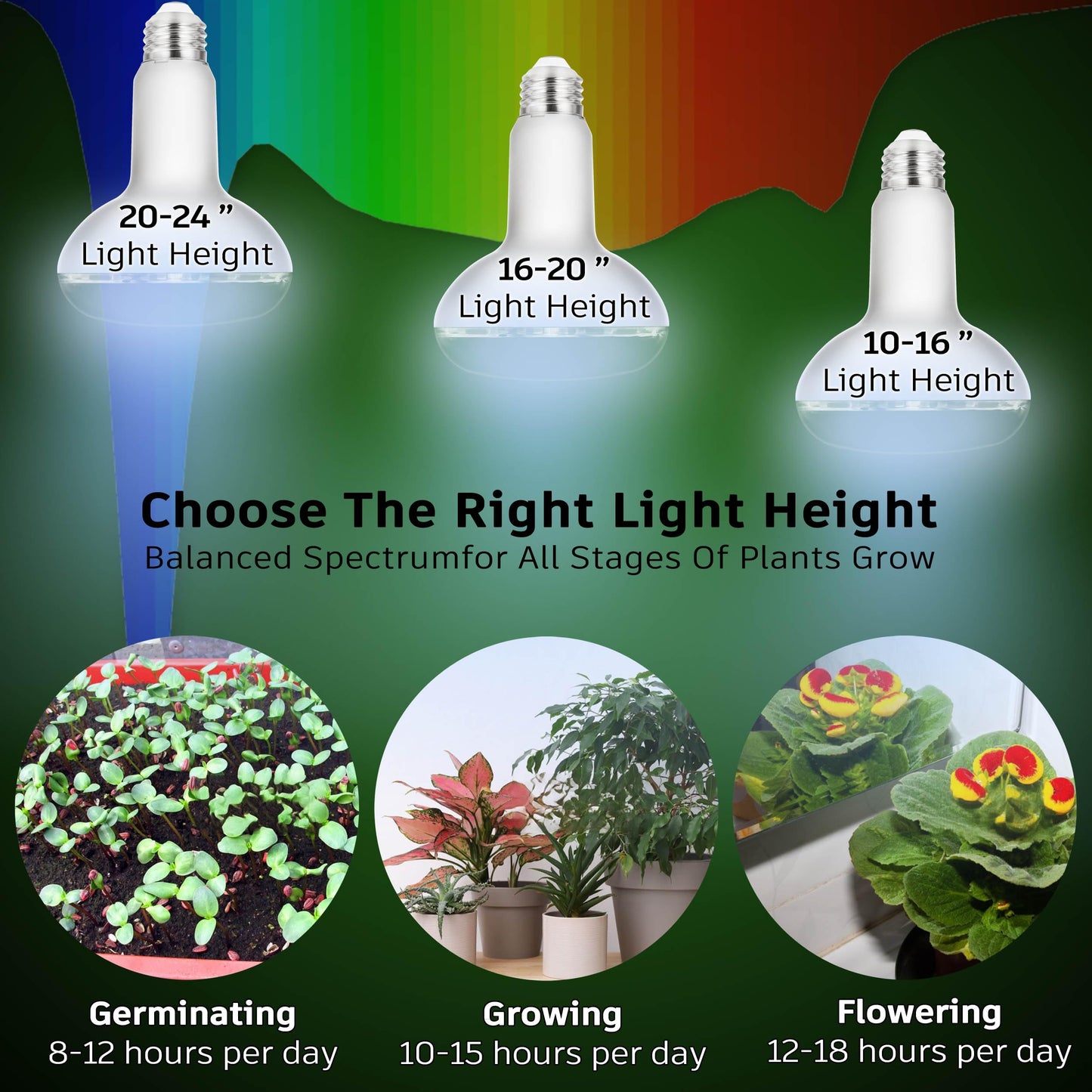 BR30 Led Grow Light Bulbs for Indoor Plants Full Spectrum,E26 BR30 Floodlight Plant Sun Grow Lamp 15W 1800lm,150-200 Watt Equivalent,Balanced Spectrum 5000K Red Blue for Seeds Greens,Flowers,1Pcs