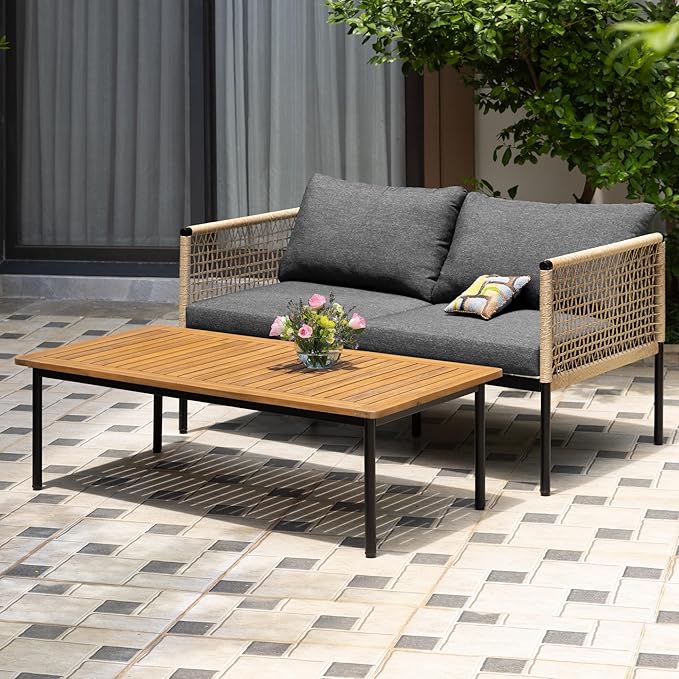 Idzo Oscar Wicker Metal Loveseat