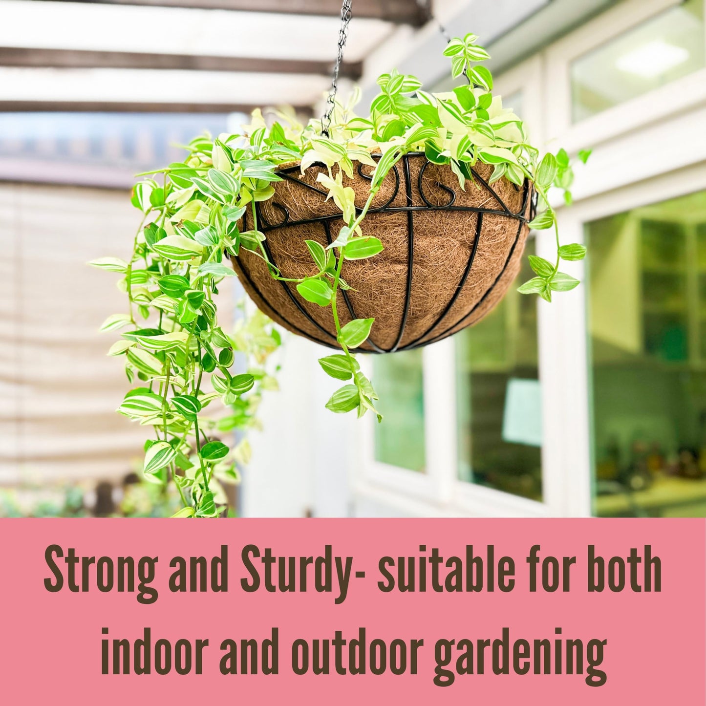 LaLaGreen Hanging Planter for Outdoor Plants (14 Inch, 2 Pack) Black Hanging Baskets with Coco Liner, Metal Wire Flower Basket Pots with Hook Hanger Balcony Porch Farmhouse Country Style Garden Decor