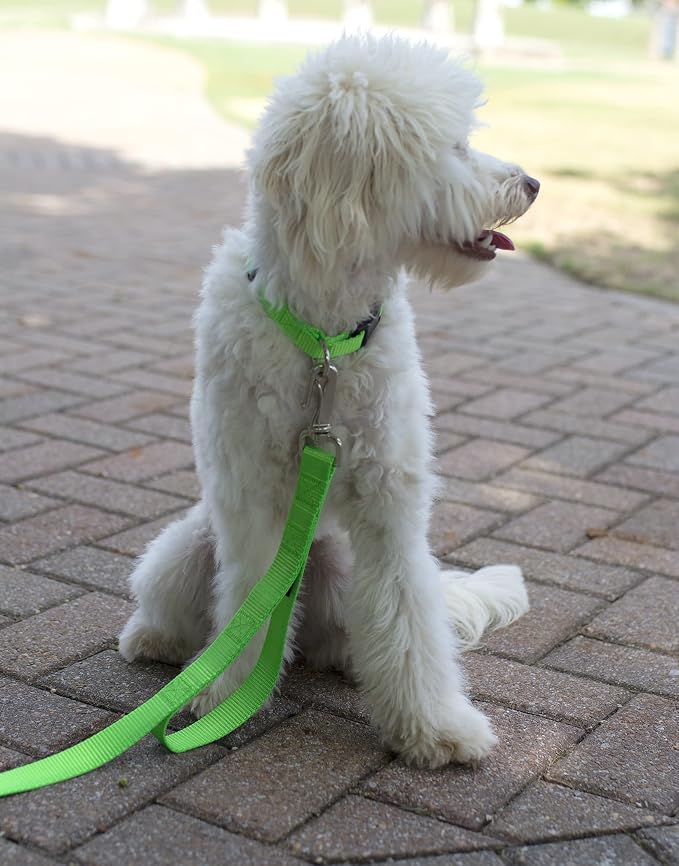 Country Brook Petz - Everyday Nylon Dog Collar and Leash - 10+ Cool Colors (3/8 Inch, Extra Small, Hot Lime Green)