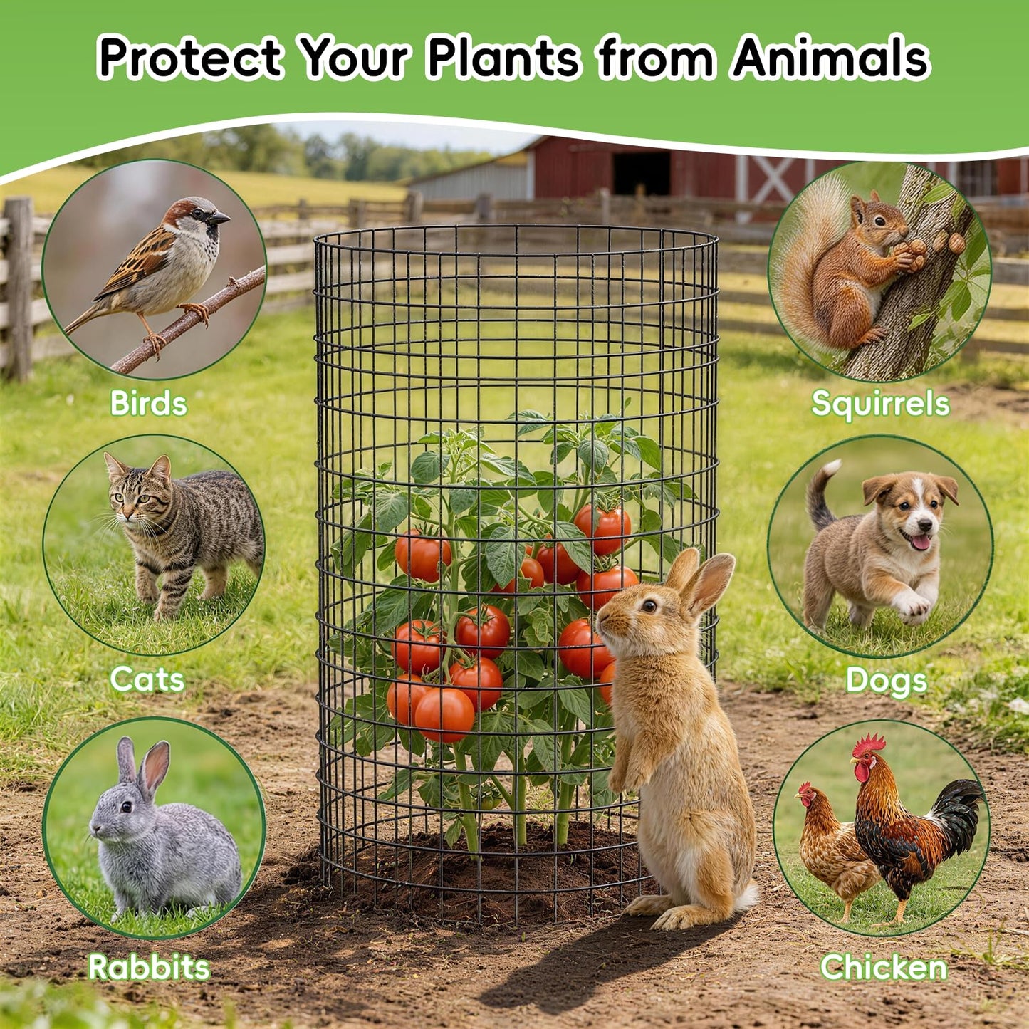 10 Packs Plant Protectors from Animals, 30Pcs 12"x 16" Large Metal Wire Mesh Garden Plant Cages for Outdoor Gardening, Chicken Wire Cloche Plant Cages for Rabbits with Zip Ties & Stakes(Black)