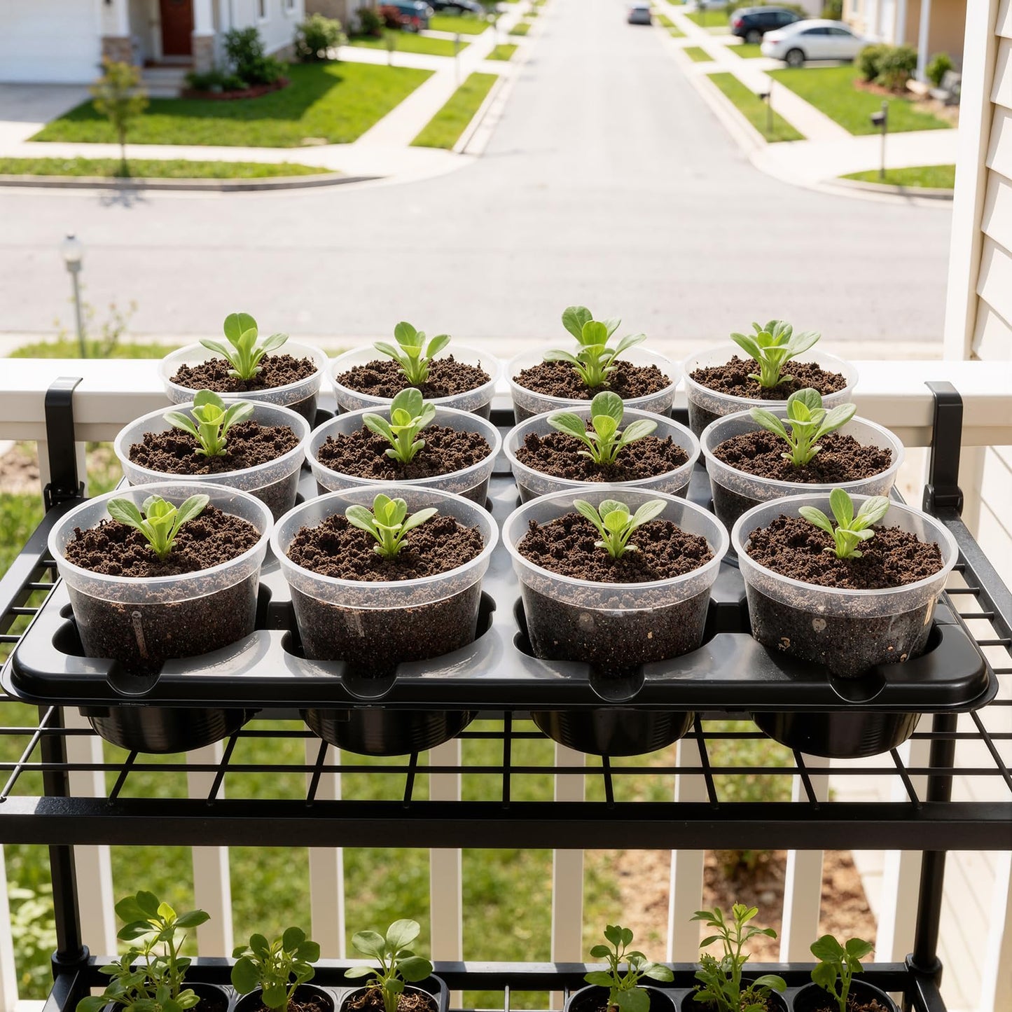 homenote 4 Inch Seed Starting Trays 5 Pack, 12-Cell Seedling Starter Trays for Indoor Outdoor Growing, Plant Starter Germination Trays for Pots Seedlings 4" Opening Compatible Pots