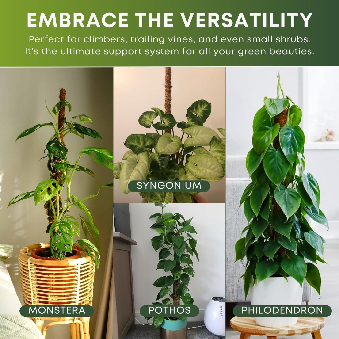 Auraville Moss Pole Monstera Plant Support | 48 Inch Plant Stakes for Indoor Plants | Coconut Palm Fiber Moss Poles for Climbing Plants | Handmade Plant Sticks Support Tall Monstera, Pothos & More