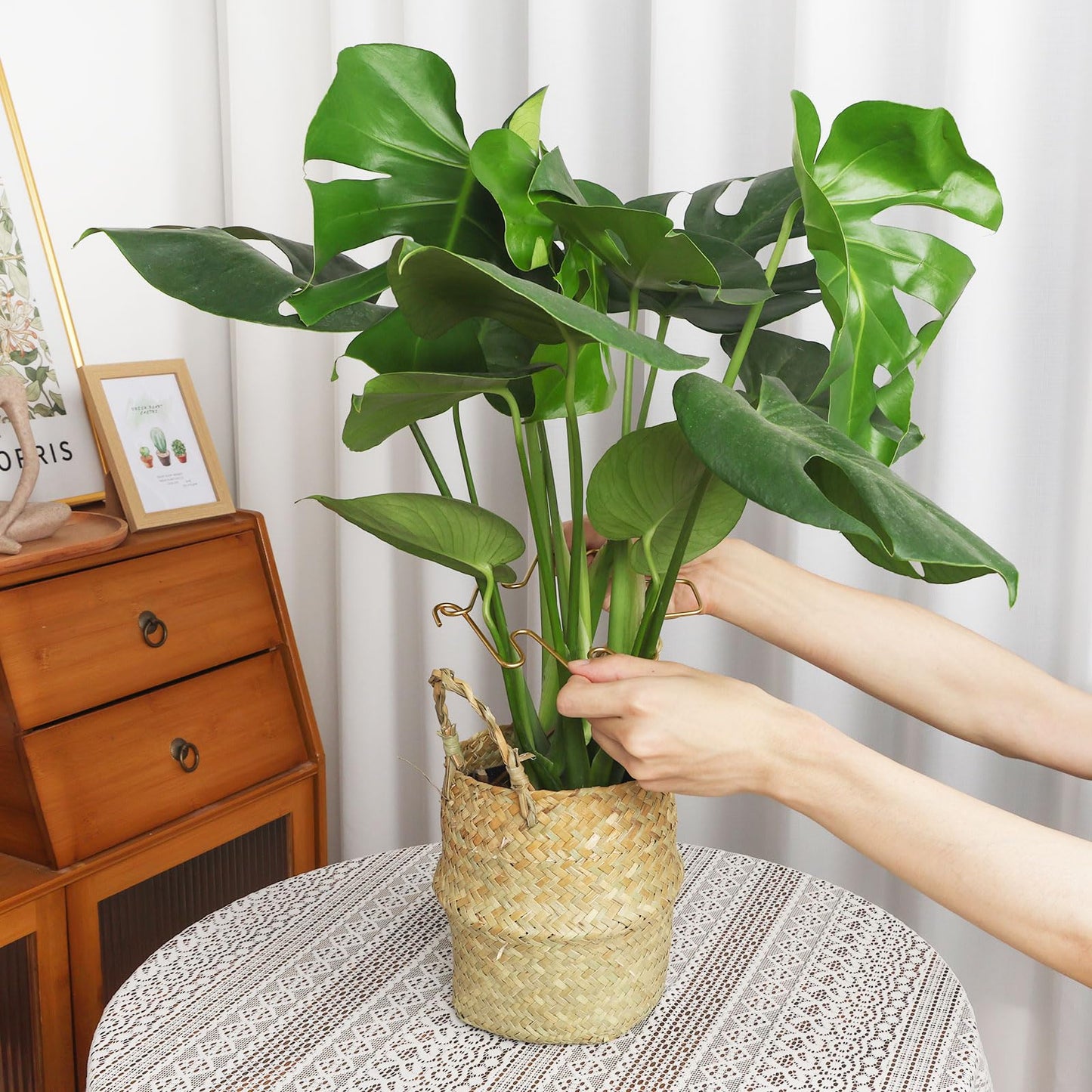 PRETTY JOLLY 5PCS Iron Monstera Plant Support Stakes Premium Plant Stand for Indoor & Outdoor Plants Practical Leaf Holders,Durable Trellis Accessories for Gardening Enthusiasts(Tree+Butterfly)