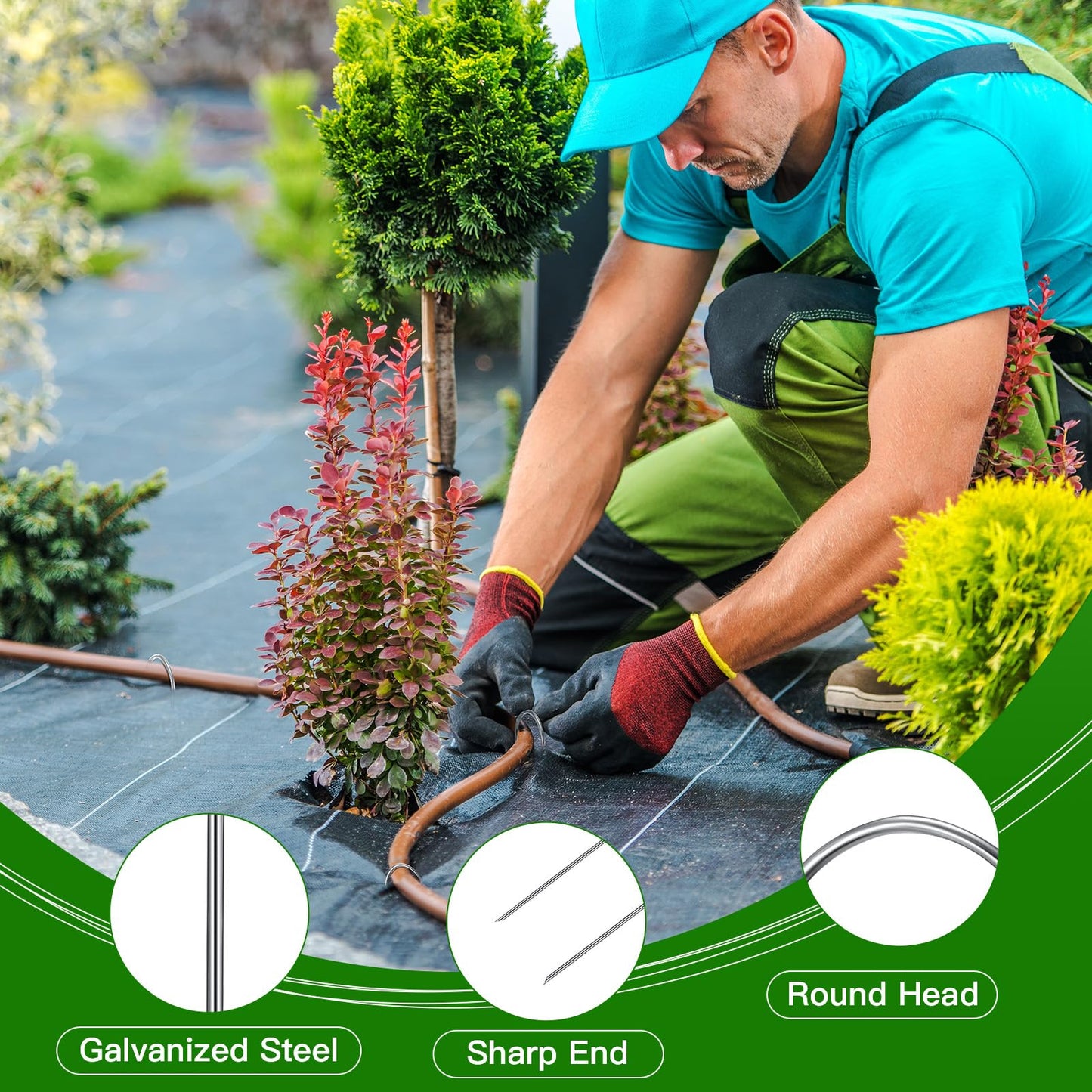 Tandefio 100 Packs Drip Irrigation Tubing Stakes 6 Inch Garden Pins Landscape Staples Securing Pegs Galvanized Lawn Yard U Pegs for Hose, Chicken Wire, Weed Barrier Fabric, Dog Fence