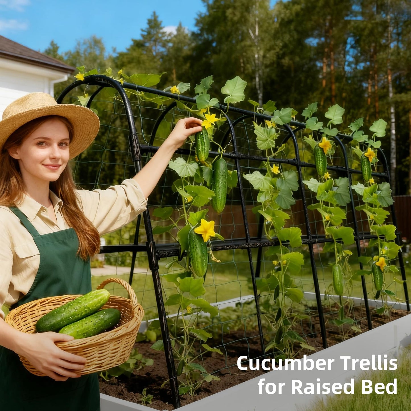 Laodier Cucumber Trellis for Raised Bed, U-Shape Garden Arch Metal Support for Climbing Plants, Metal Arch Plant Support Vegetables Trellis, Plant Support for Vine Outdoor(Black, 63*30*47inch(L*W*H))