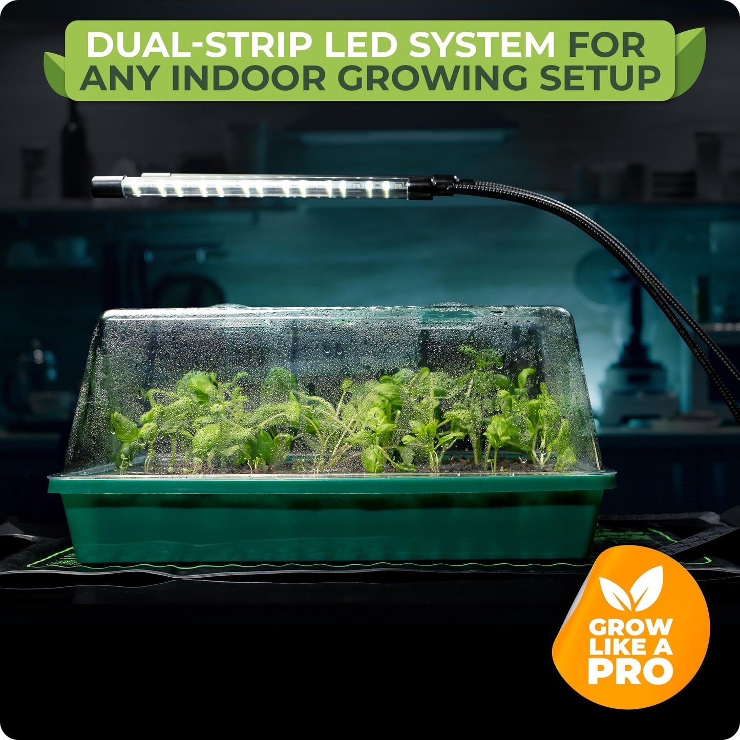 CARPATHEN Seed Starter Tray with Grow Lights and Heating Mat - 40 Cell Plant Germination Tray with 4.7" Humidity Dome Seed Starter Kit for Indoor Seed Starting and Propagation