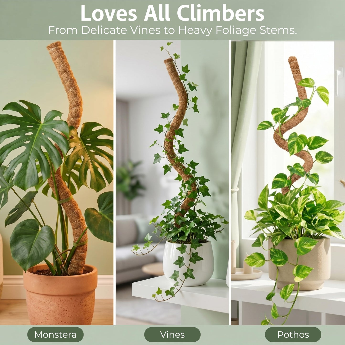 30 Inches Bendable 2 Pack Moss Pole Monstera Plant Support Stakes - Moss Poles for Climbing Plants, Plant Stakes for Indoor Plants - Coco Coir Pole Moss Stick for Monstera, Pothos.