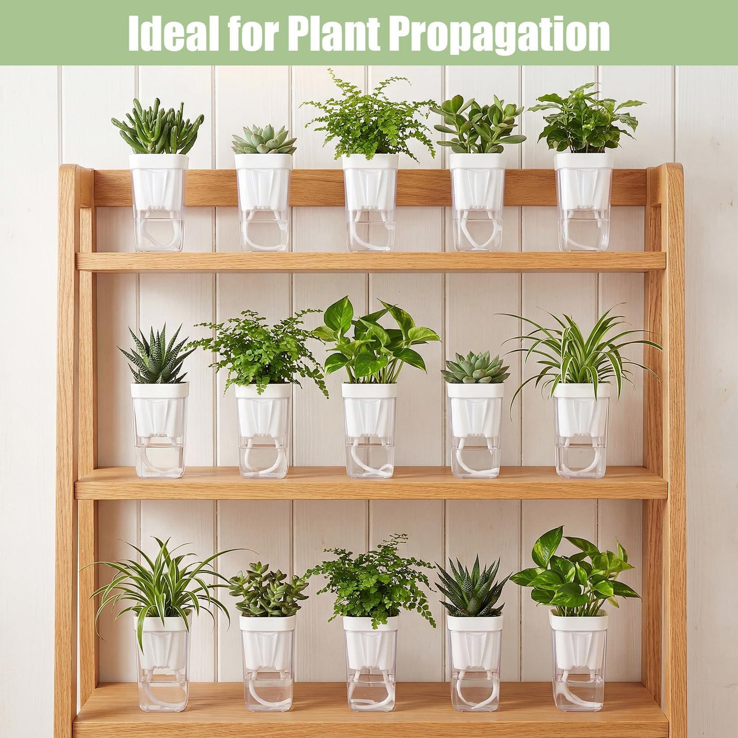 RimCereal 30 Pack 2" Small Self Watering Pots for Indoor Plants Clear Mini Self Watering Plant Pot with Water Level, Drainage Holes 30 Plastic Label 3 Planting Tools, Rope for Propagation Succulents