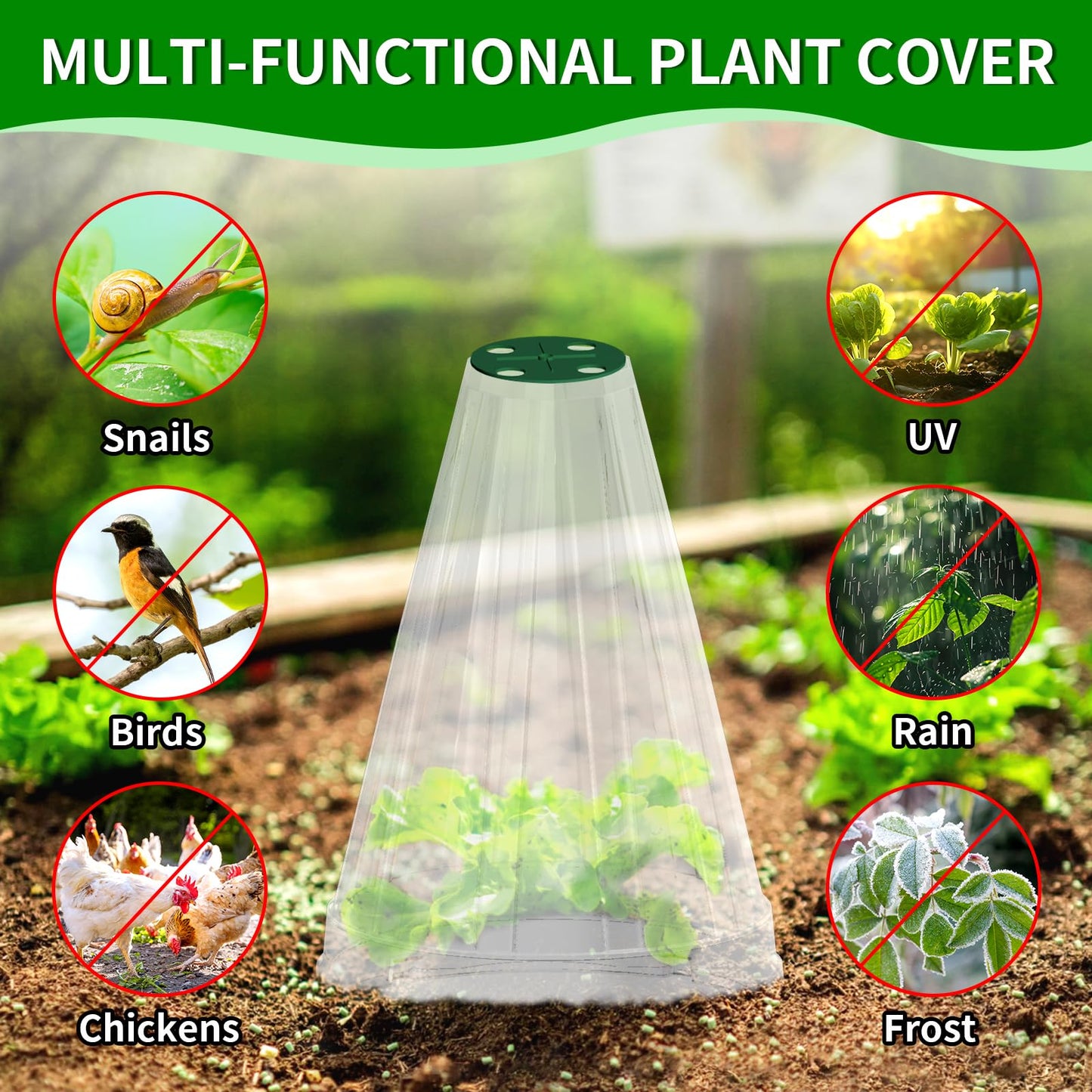 Webuys Garden Cloches for Plants, 30 Pack Garden Cloche with Rotary Vent, Reusable Bell Plant Covers, Plant Cloche Protectors from Animals Snails Birds Chickens, 7.9" H X 6.7" D (Transparent)