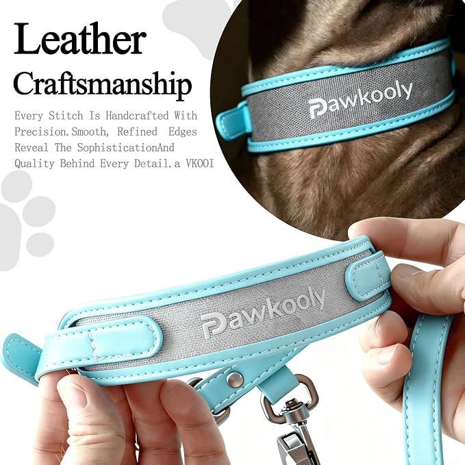MagEase Dog Collar with 4FT Leash | Adjustable | Anti-Wrinkle, Bite & Stain-Resistant Leather | Soft & Skin-Friendly | 450LB Escape-Proof Magnetic Buckle (Light Blue, Medium)