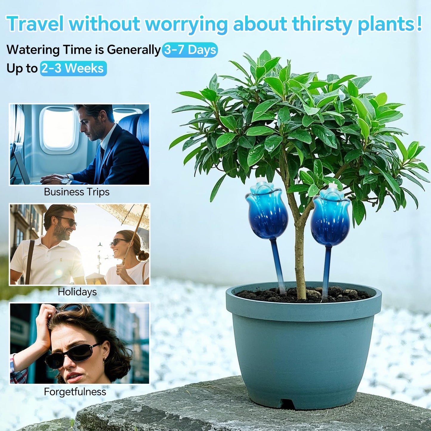 YEH-HOME Large Plant Watering Globes Set of 3-10 oz Indoor/Outdoor Large Self Watering Globes Planter Insert, for Mother/Father/Friend/Plant Enthusiasts (Blue Rose)