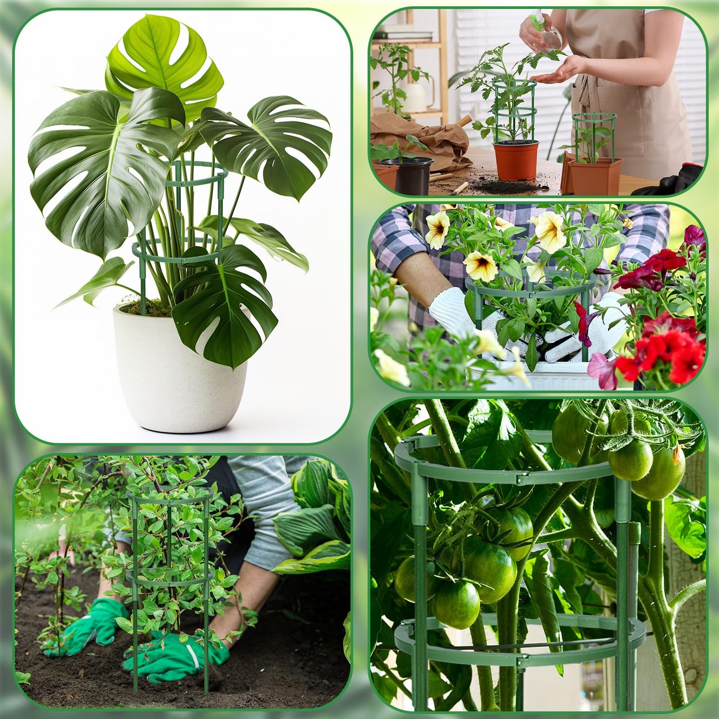 Ferrochef 48 Pcs Plant Support Stakes Half Round Plant Stake for Indoor Plants Stackable 3 Tier Garden Flower Support with Vine Clip and Gourd Shaped Clip for Tomato Monstera Peony Climbing Vegetable