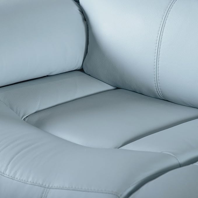 Furniture of America Sorin Modern Leather Recliner Sofa