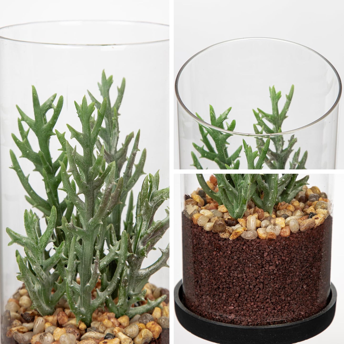 GnFlus Artificial Succulent in Cylindrical Glass Vase Small Fake Senecio Plant with Modern Glass Terrarium Faux Plants Indoor Gift for Plant Lover Decor for Home Office Table Desk Shelf