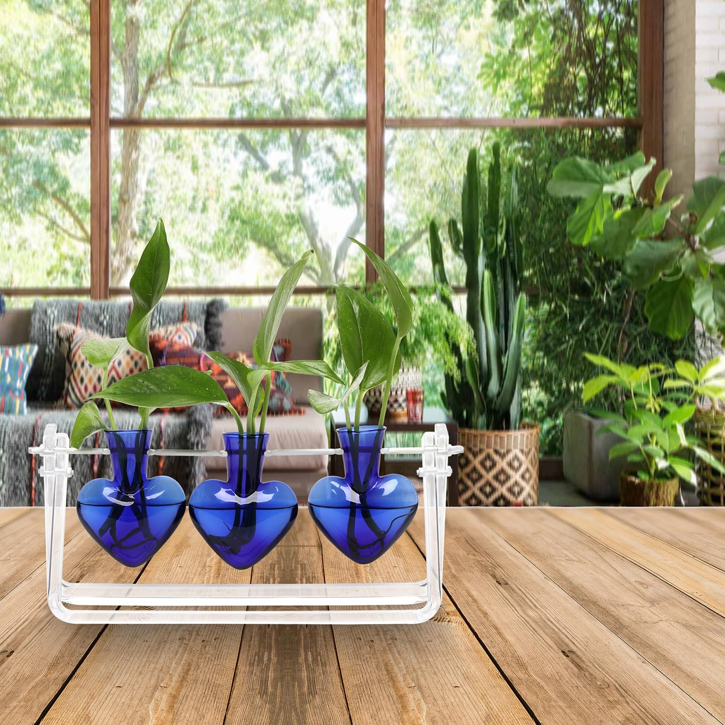 CYZglass Clear Plant Terrarium Propagation Stations with Acrylic Stand Birthday Gifts for Women Office Home Decor