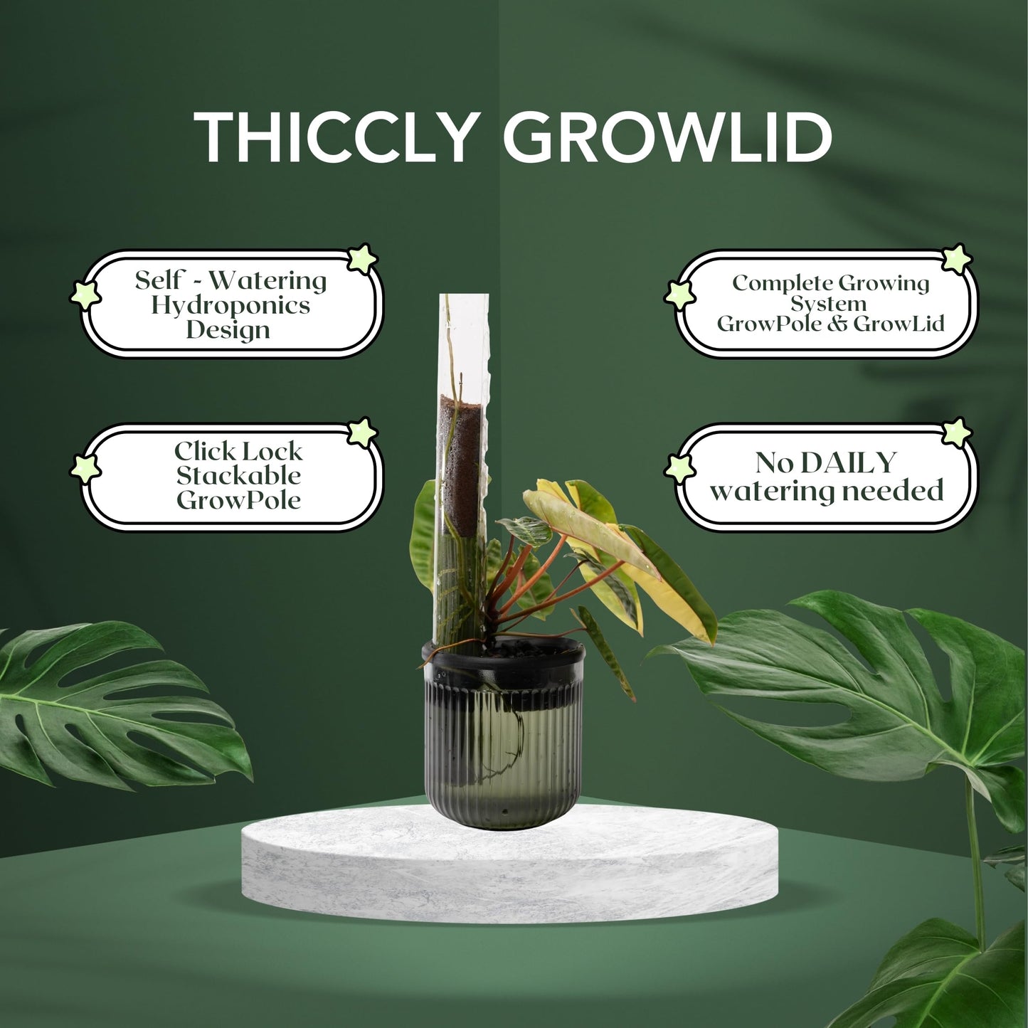 THICCLY Medium GrowLid 5 Pcs (Royal Blue) - Self Watering Clear D-Shaped Plastic Moss Pole Hydroponics Growing System Kratky Hydroponic Kit Moss Pole Monstera Plant Support Philodendron and Anthuriums