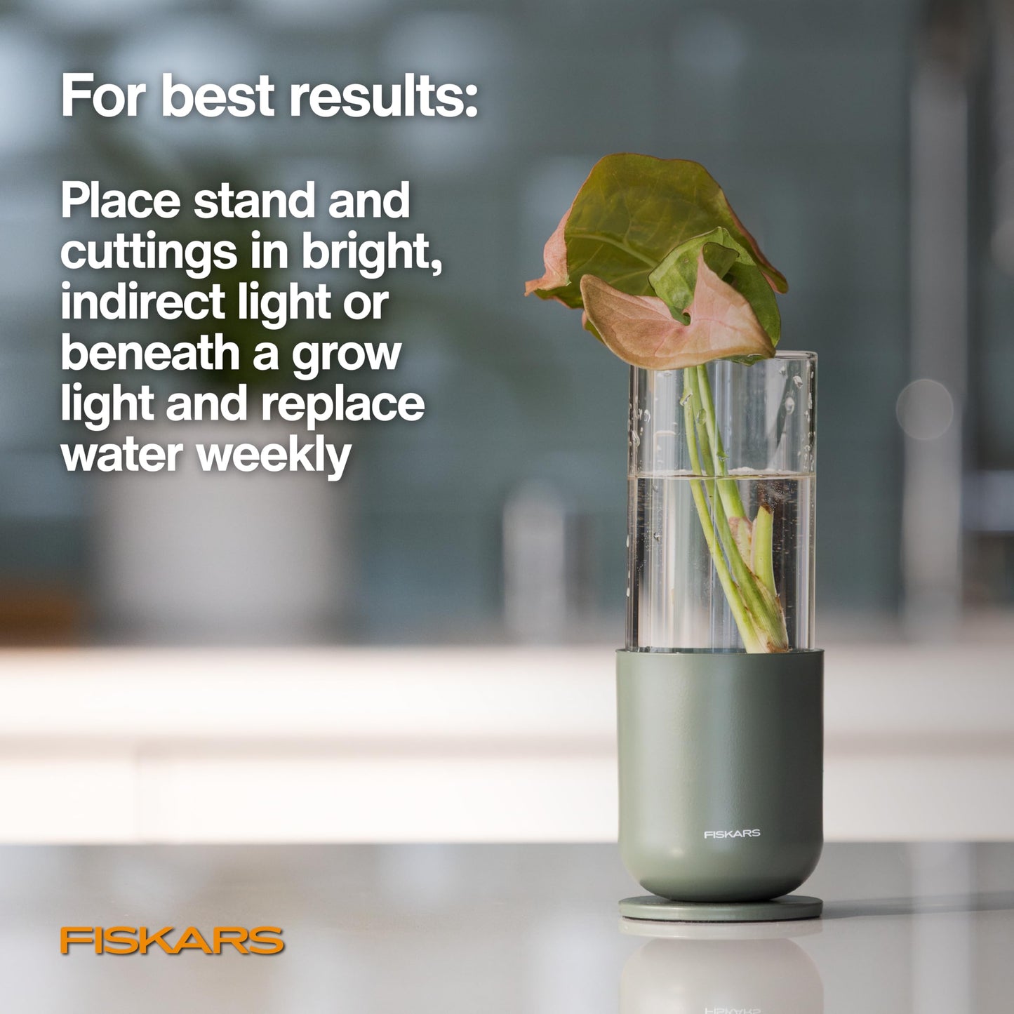 Fiskars Plant Propagation Set, Glass Vases with Metal Stands for Rooting Cuttings, Hydroponic System for Growing Plants in Water & Decorative Display for Indoor Garden Decor, 3 Pack, Clear