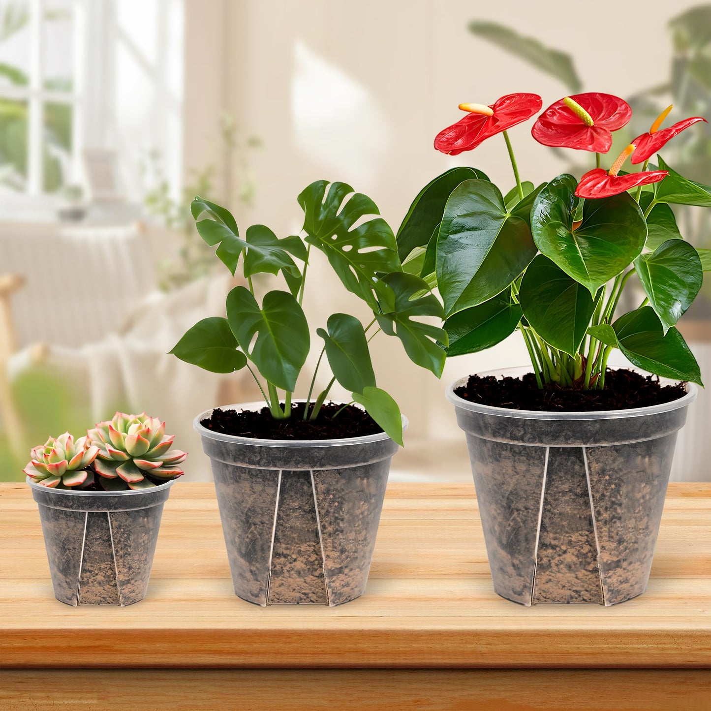 AUGXIXI 5 Sets 8 Inch Transparent Plastic Garden Pots Planter with Saucer Plant Planter Drainage Hole Plastic Pots for Plants Indoor and Out Door House Plants with 10pcs Plant Labels