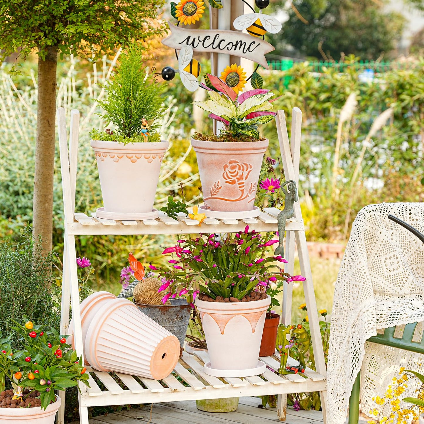 Sungmor Terra Cotta Pot Set - 3 Unique Embossed Clay Planters with Saucer & Drainage, 8 Inch Large & Deep, Pretty Color, Ideal for Orchid, Cactus, Succulent
