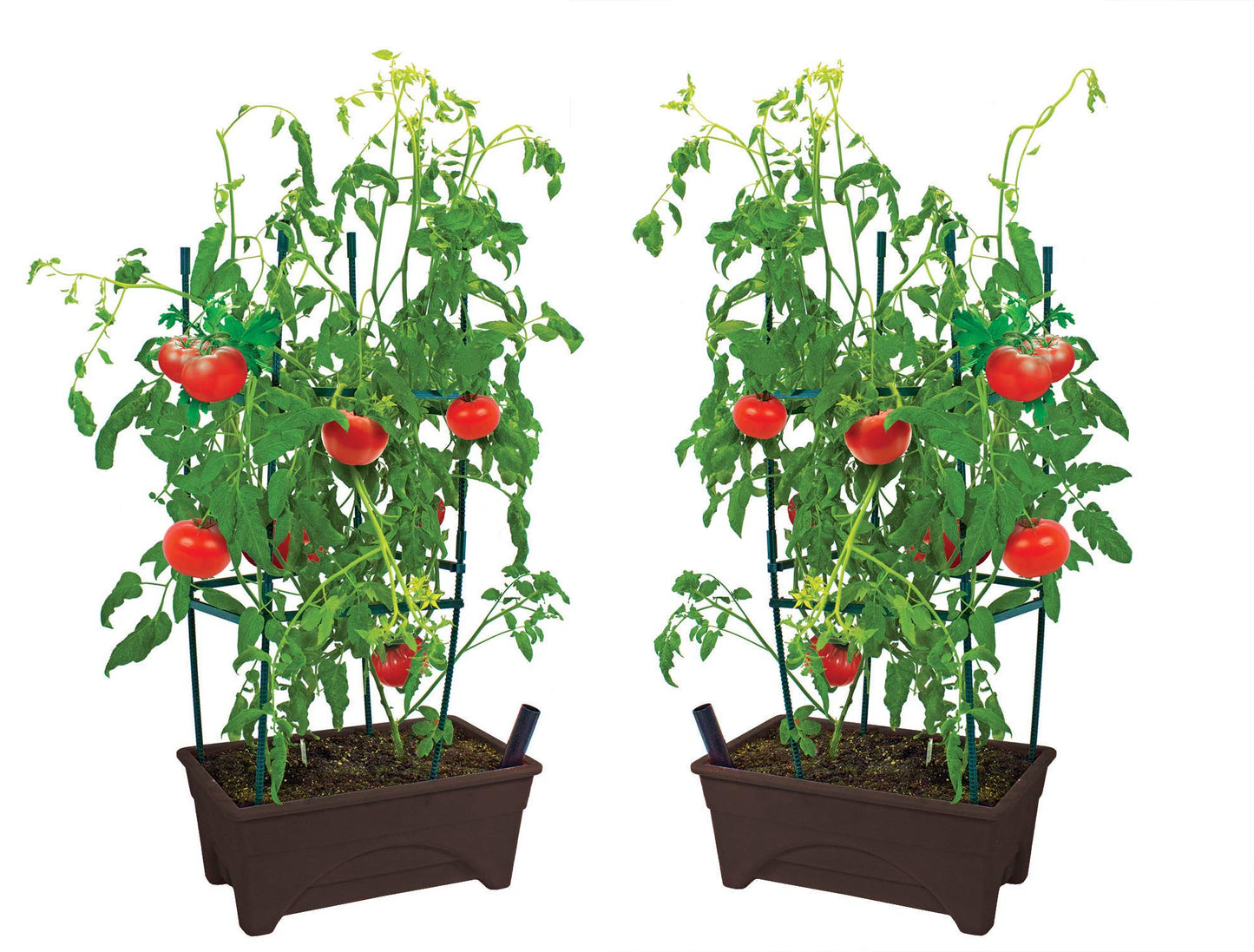 Emsco Group 2376-2-1 Start Pickin' Raised Bed Seed Starter-12 x 20"-2pk- Brown Grow Box