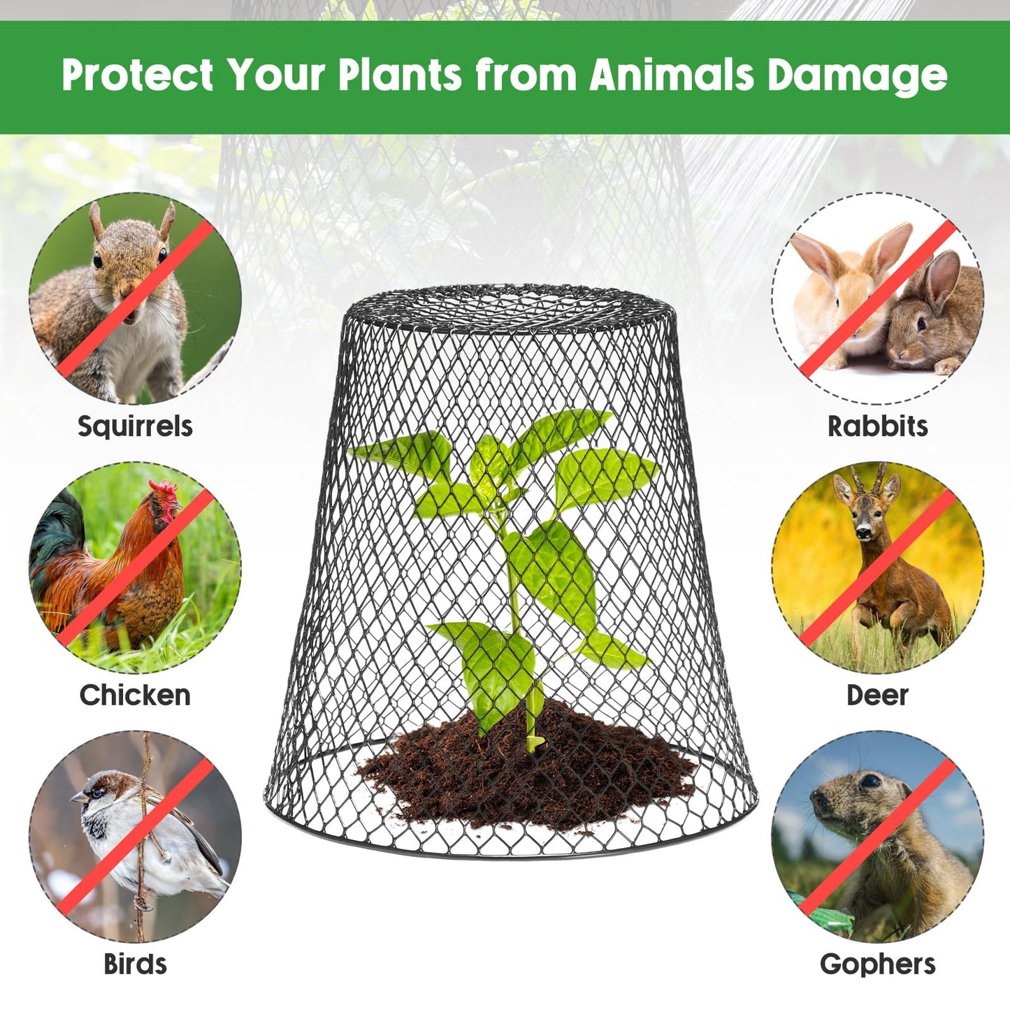 Geosar 30 Pcs 9 Inch Chicken Wire Cloche Plant Protector Cover Metal Garden Cloche Netting Protection Cages Vegetables Flowers with Garden Stakes Avoiding Chicken Rabbit Squirrels Birds (Black)
