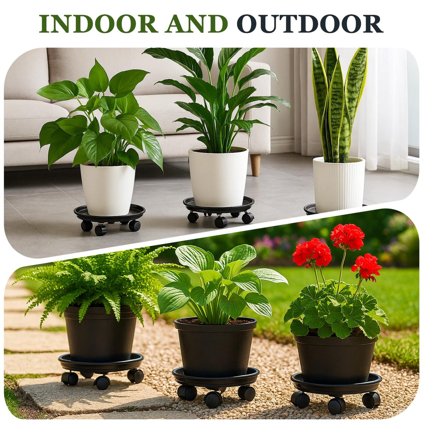 Circloophs 5 Packs Plastic Plant Caddy with Casters 12" Heavy-duty Plant Dolly Rolling Plant Stand with Wheels for Moving Heavy and Large Plant Pot Saucers Plant Rollers Indoor and Outdoor, Black
