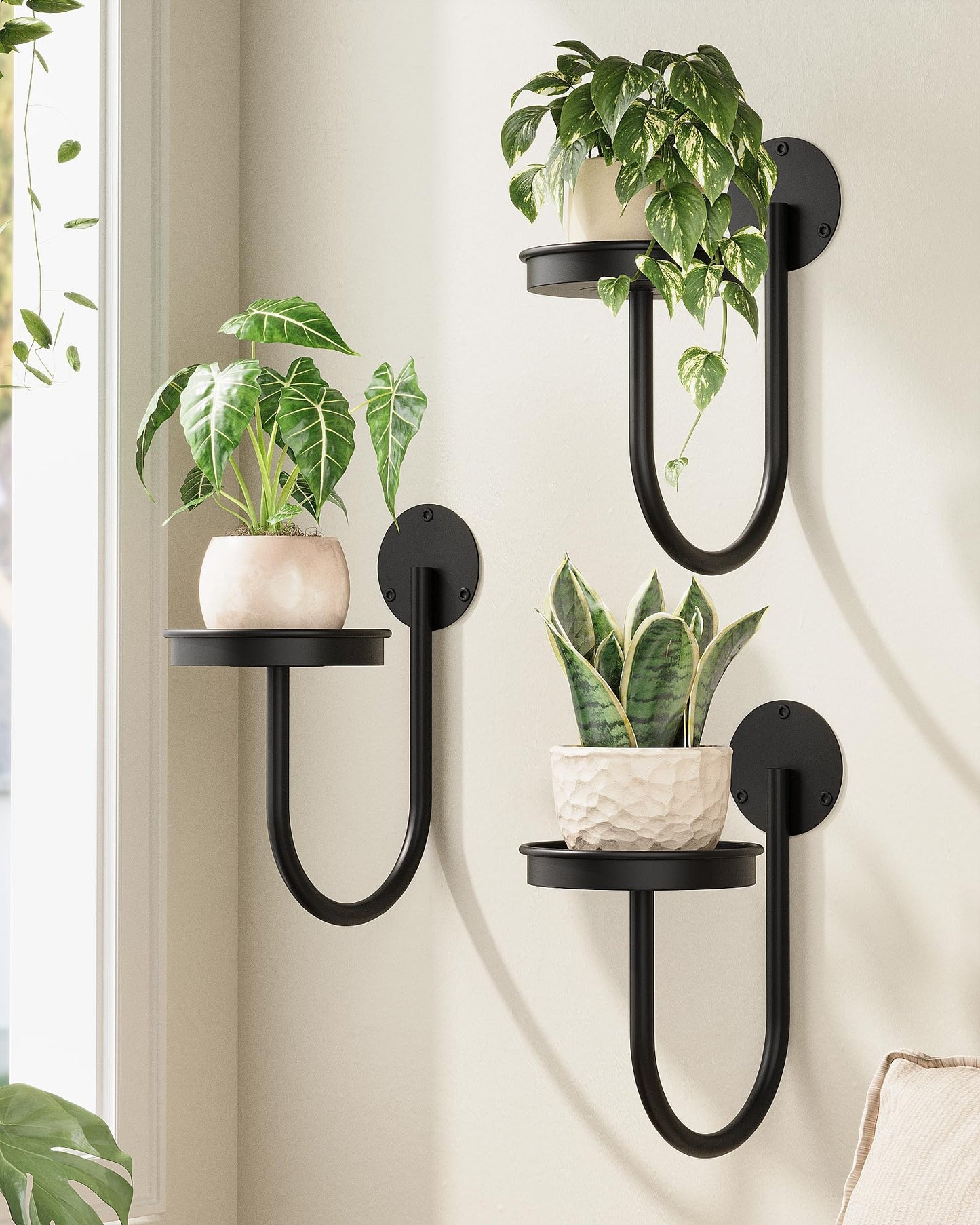 Bamworld Hanging Planters for Indoor Plants Wall Plant Holder Plant Hanger Indoor Wall Planters Window Plant Shelves Hanging Plant Holder Window Plant Hanger Plant Decor Black 3pcs