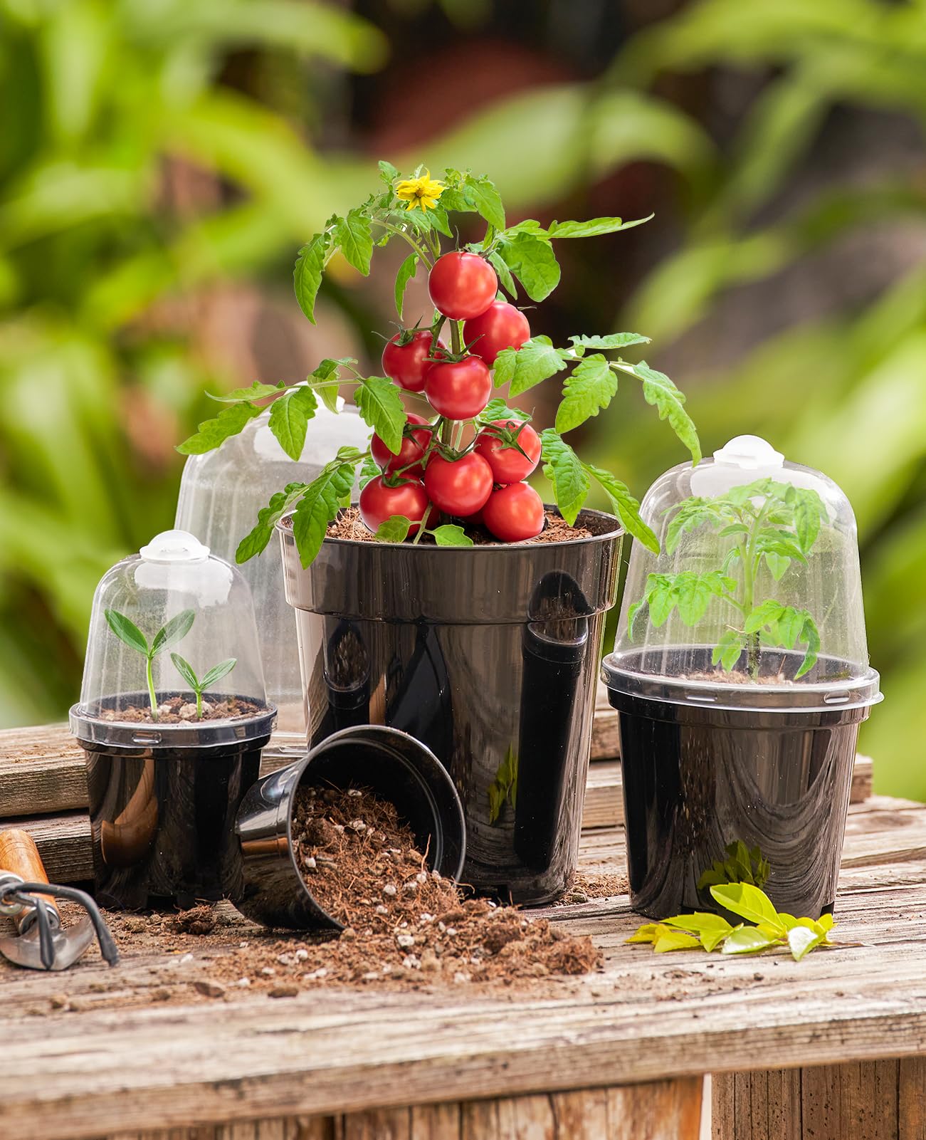 homenote Nursery Pots for Plants,5 Inch Plant Pot for Planting with Humidity Domes Plastic Seedling with Drainage Holes Seed Starter Flower with 10 Labels Black (15 Pack)