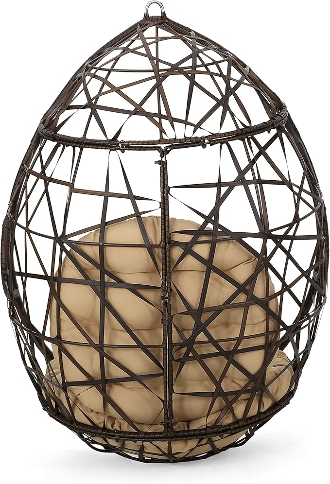Christopher Knight Home Isaiah Indoor/Outdoor Wicker Tear Drop Hanging Chair