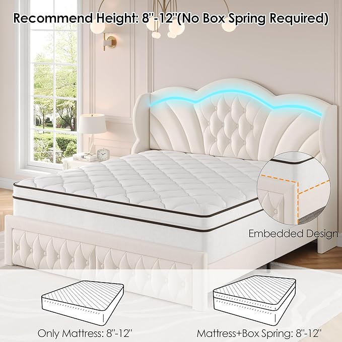 Keyluv Queen Bed Frame with LED Lights and 2 Storage Drawers, Velvet
