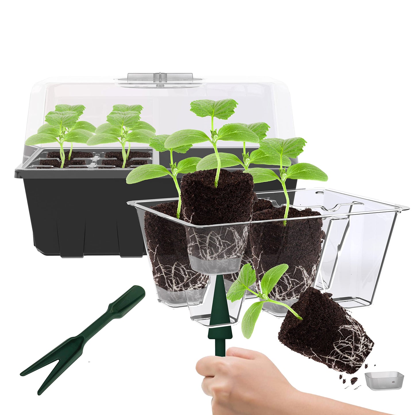 Gardzen 10 Pack Push-Up Seed Starting Tray, Pop Up Plant Germination Trays, Seed Starter Kit with Adjustable Humidity Vented Dome, 6.6" x 4.5", Total 120-Cell, Clear