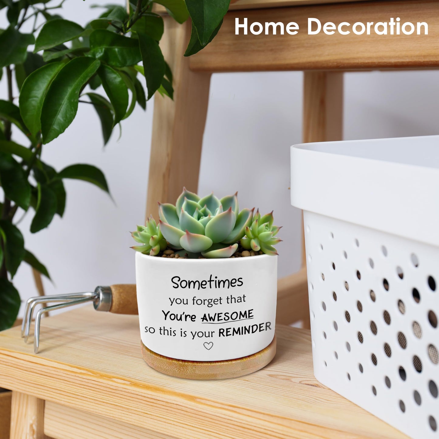ROXMART Sometimes You Forget Your Awesome Gifts Plant Pots, Thank You Gifts for Men Women Coworkers Friends Succulent Planters, Ceramic Plant Flower Pots for Home Office Desk Table Shelf(No Plants)