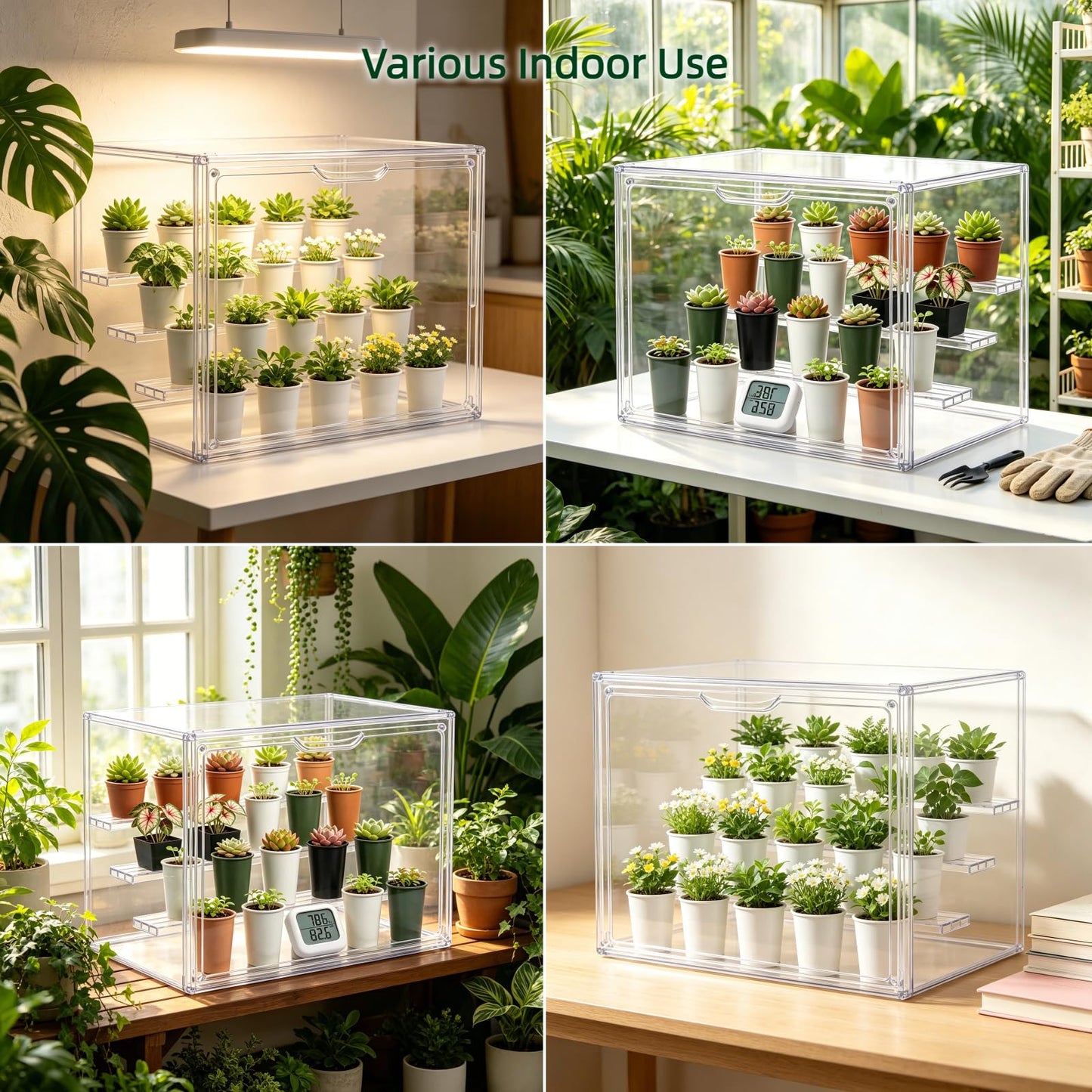 Clear Mini Greenhouse Indoor, Small Portable Tabletop Green House with Magnetic Door for Seed Starting, Plant Grow Warmer and Home Gardening Display