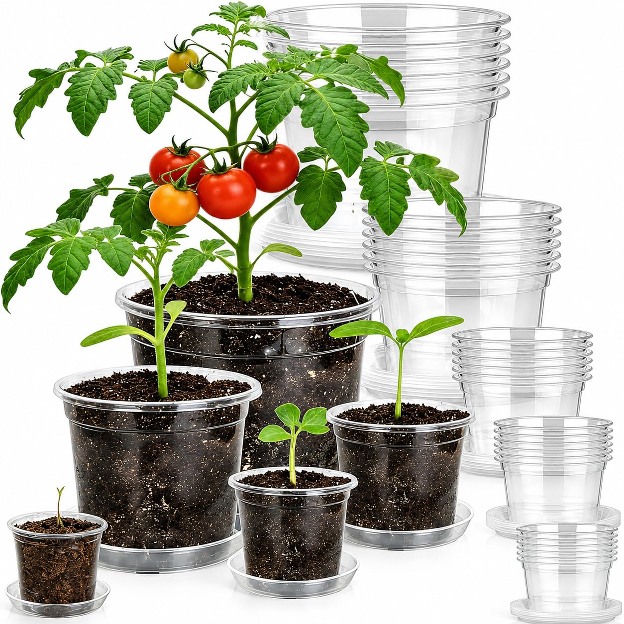 TESSTSY 30 Pack 7/6/5/4/3 Inch Clear Nursery Pots with Drainage and Saucer, Plastic Pots for Planter, Clear Potting Pots for Succulents, Flower, Small Herbs, Indoor Outdoor Gardening