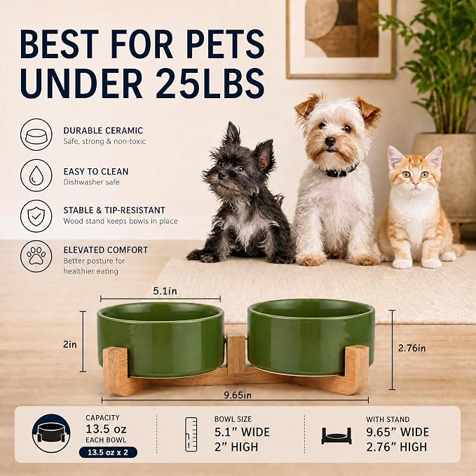 Petygooing Dog Bowls,Ceramic Cat Dog Bowl Set with Wood Stand for Food and Water,Non-Slip Cute Modern Pet Dish for Cats and Small Size Dogs (13.5OZ/5.1 in) Rust Green