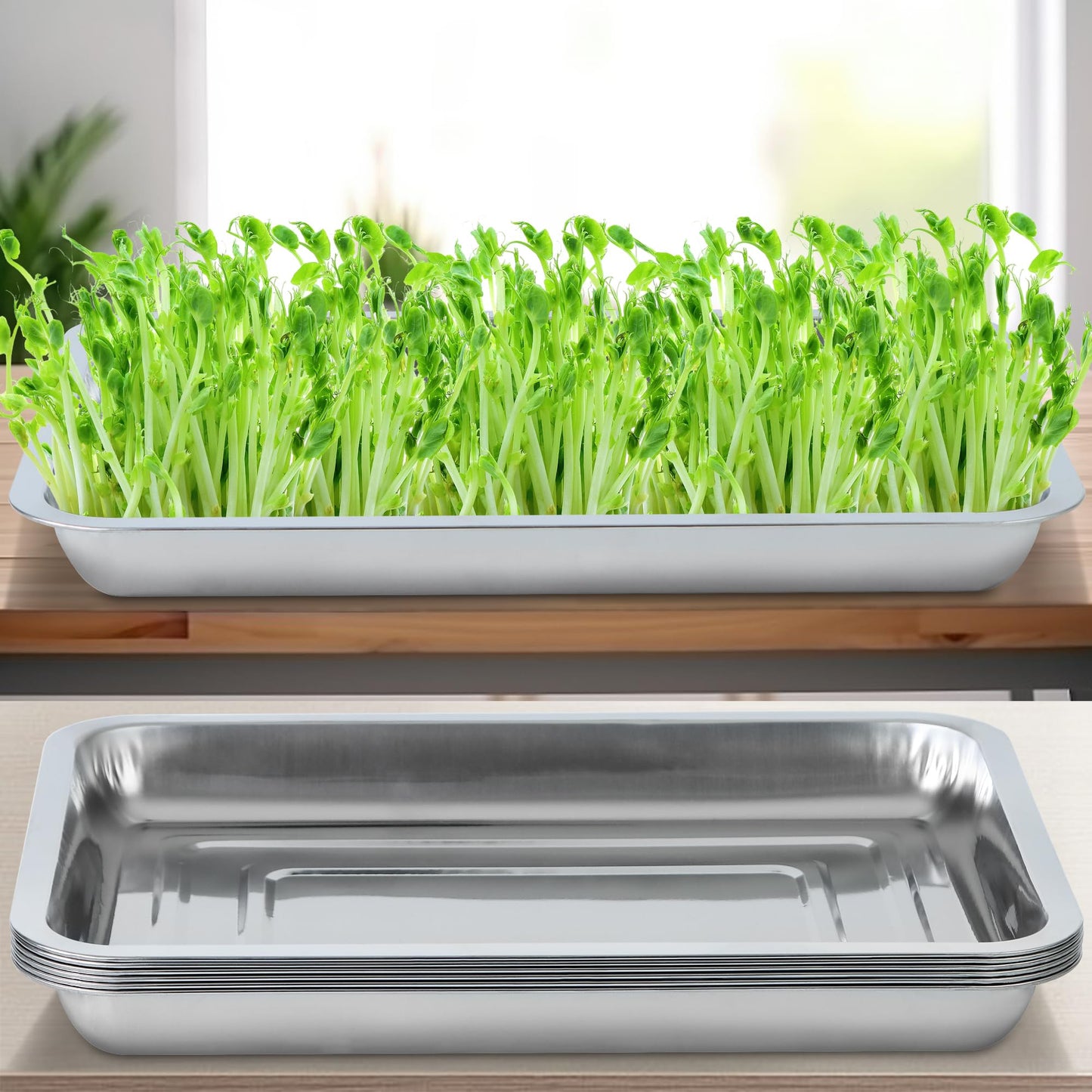 WBCBEC Plant Germination Trays, Stainless Steel Plant Trays Stainless Metal Trays Stainless Steel Seed Starter Carry Trays Nursery Seedling Pots Water Collection Transplantation (6PCS)