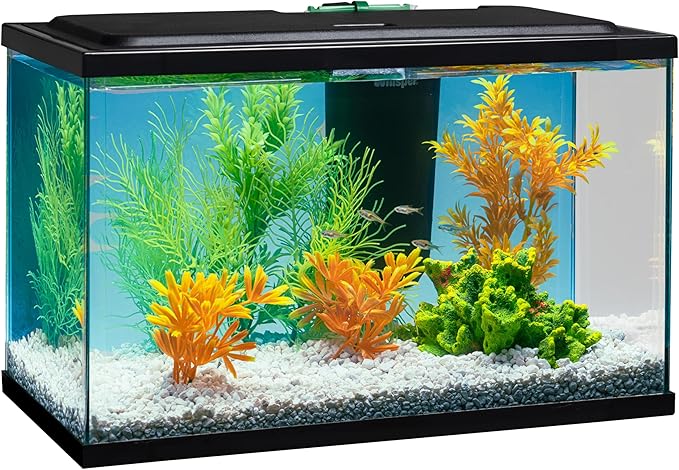 Tetra Whisper Bio-Bag Medium Filter Cartridges for Aquariums, 3 Count, Ready to Use, Fits Tetra Whisper Fish Tank Filters 5-10 Gal, PF-10, IQ 10