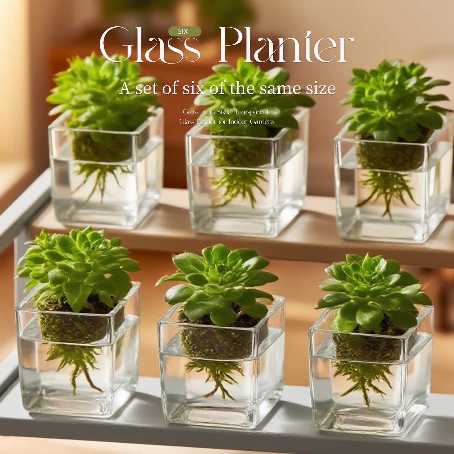 Set of 6 Square Glass Vases for Centerpieces – 5in x 5in x 5in Clear Short Flower Vase, Plant Terrariums, or Candle Holders for Wedding Centerpieces, Office Decor, Home Décor, Parties