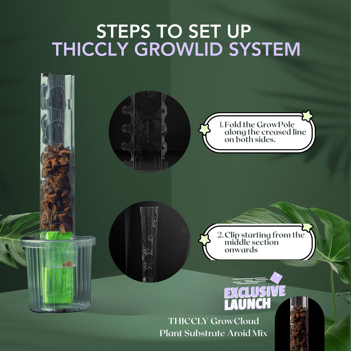 THICCLY Medium GrowLid 5 Pcs (Royal Blue) - Self Watering Clear D-Shaped Plastic Moss Pole Hydroponics Growing System Kratky Hydroponic Kit Moss Pole Monstera Plant Support Philodendron and Anthuriums