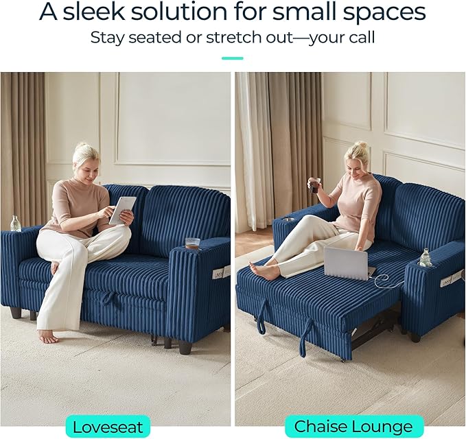 LINSY HOME Loveseat Sofa with Pull Out Couch Chaise: 2-in-1 Convertible 2