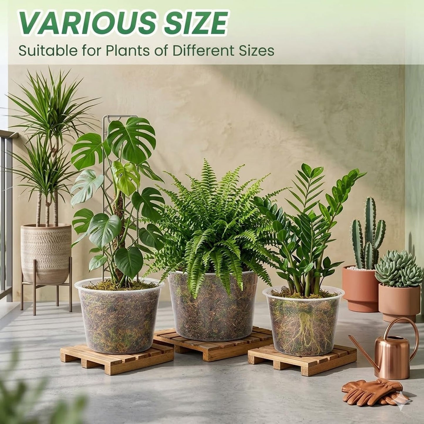 THEIFOXONE 4 Sets 8 Inch Large Clear Nursery Pots with Drainage Holes, Thick Reusable Plastic Plant Pots for Indoor Outdoor Plants, Seedlings, Succulents, Transplanting (8 inch)