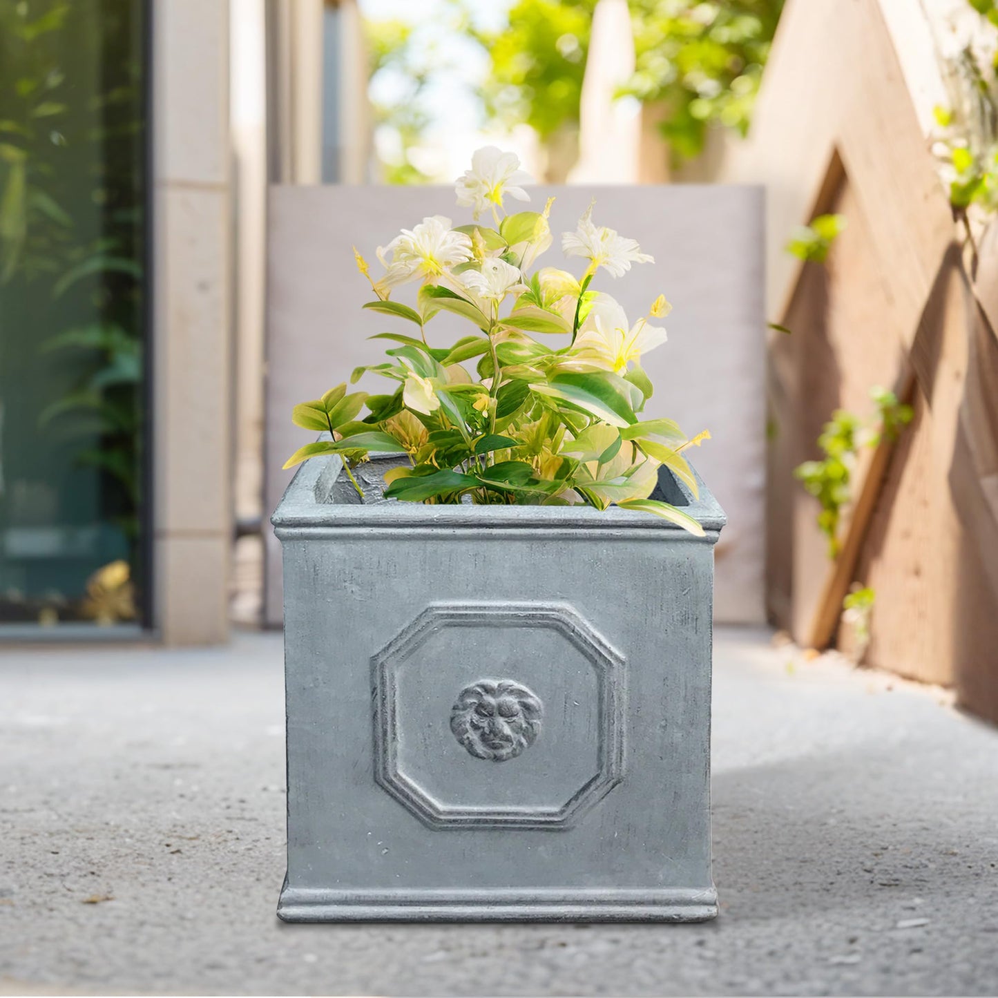 Kante Square Lion Head Concrete Planter, Classic English Style Plant Pot with Drainage Hole and Rubber Plug for Indoor Outdoor Garden Patio Home, 12.6"x12.6"x12.6" Gravel Gray