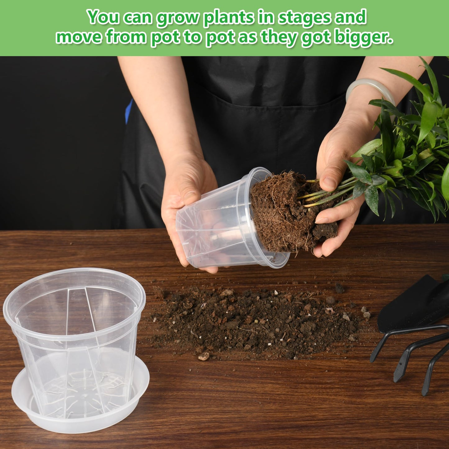 AUGXIXI 10 Sets Transparent Plastic Garden Pots Planter with Saucer 3.9/4.7/5.5/5.9/6.3 inch Plant Pot Nursery Pots Drainage Hole for House Plants, Herb, Flowers, and Cactus with 20pcs Plant Labels